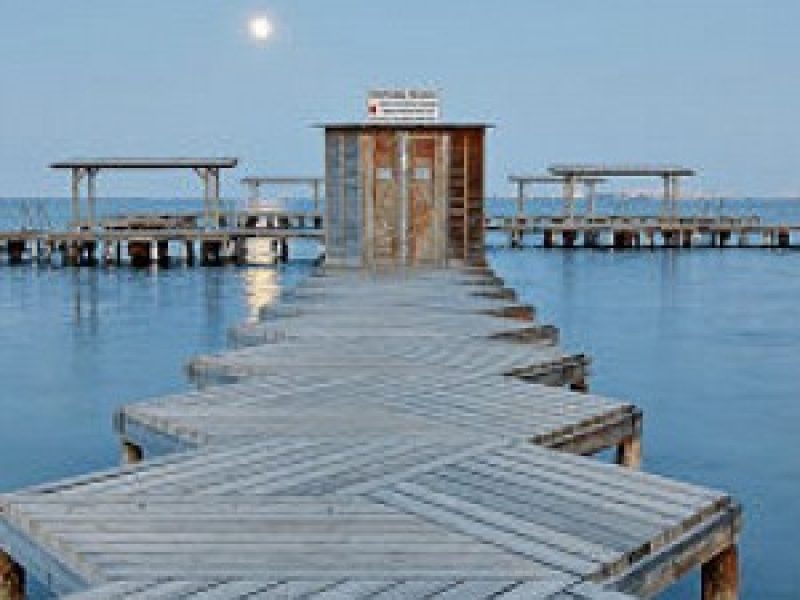 entorno tindra green 1