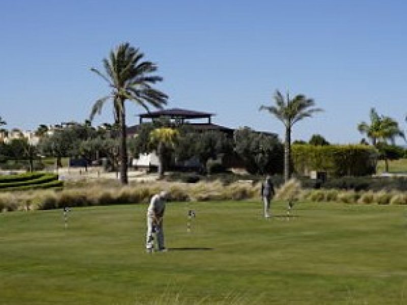 entorno tindra green 2