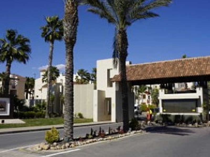 entorno tindra green 3